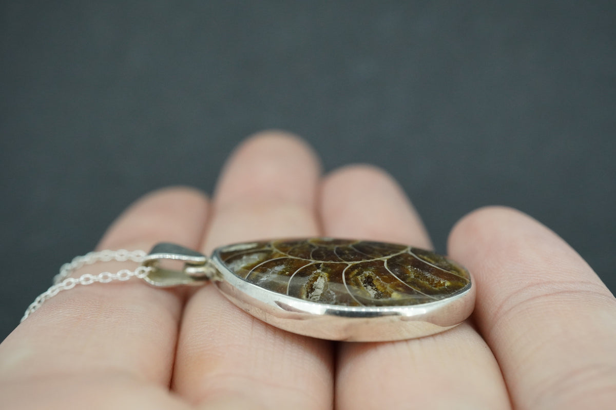 Ammonite Sterling Silver Pendant