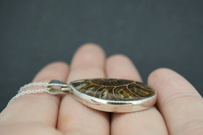 Ammonite Sterling Silver Drop Pendant