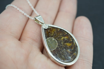 Ammonite Sterling Silver Drop Pendant