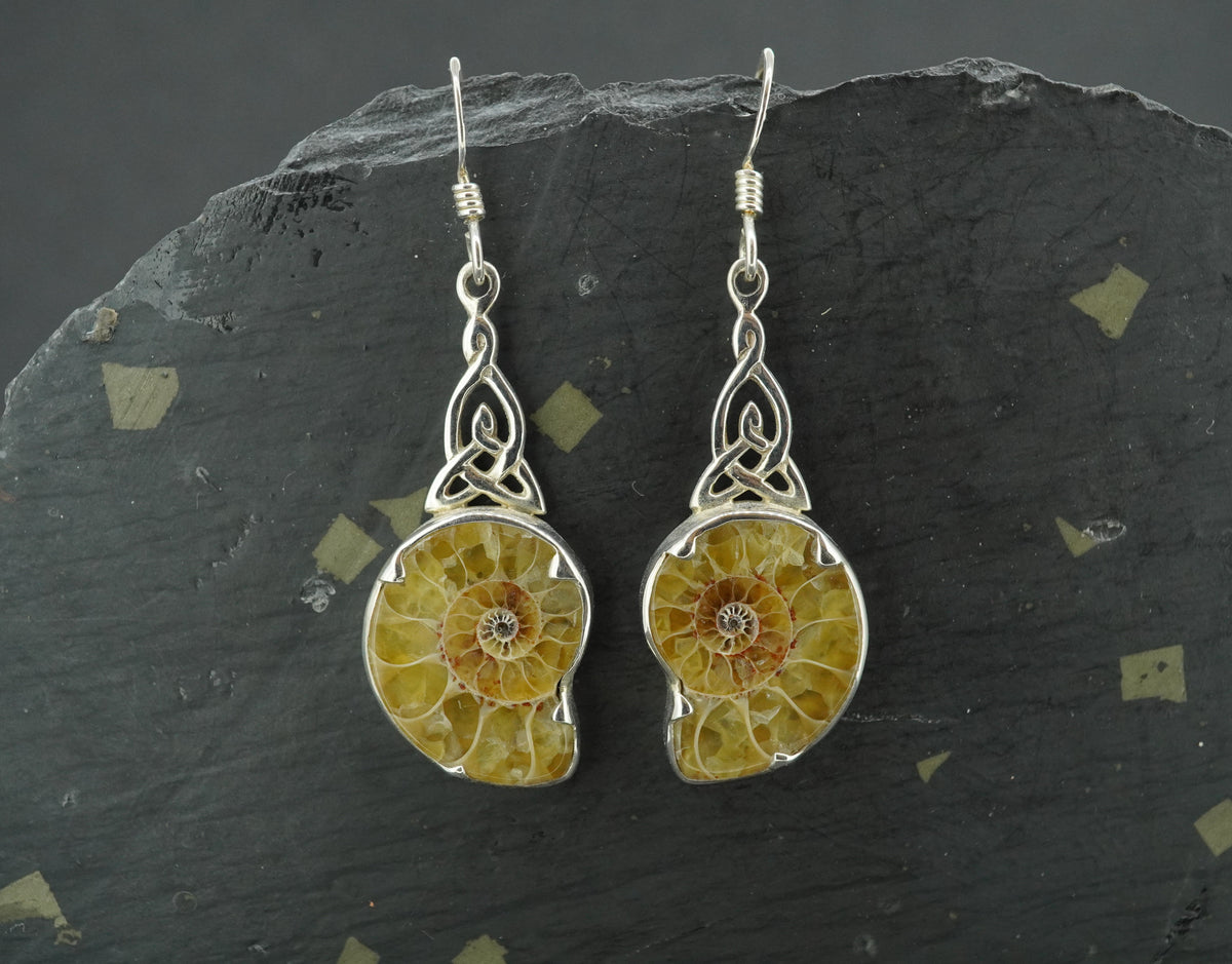 Ammonite Sterling Silver Earrings