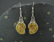 Ammonite Sterling Silver Earrings