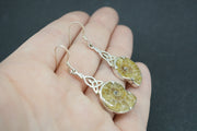 Ammonite Sterling Silver Earrings