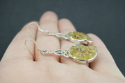 Ammonite Sterling Silver Earrings