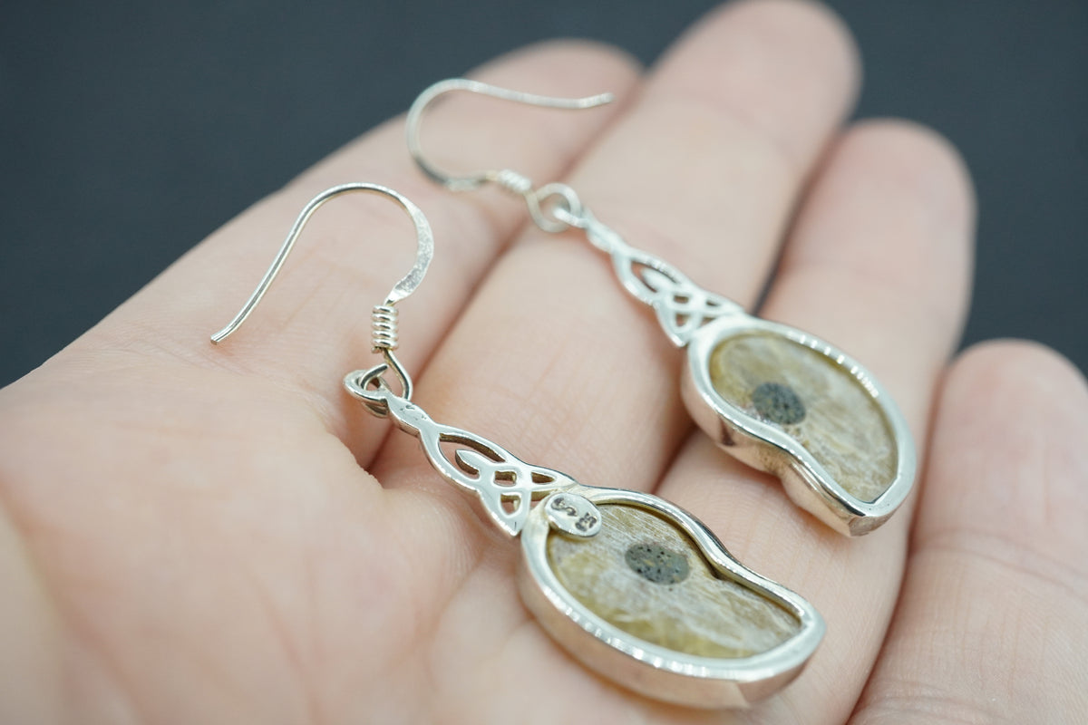 Ammonite Sterling Silver Earrings