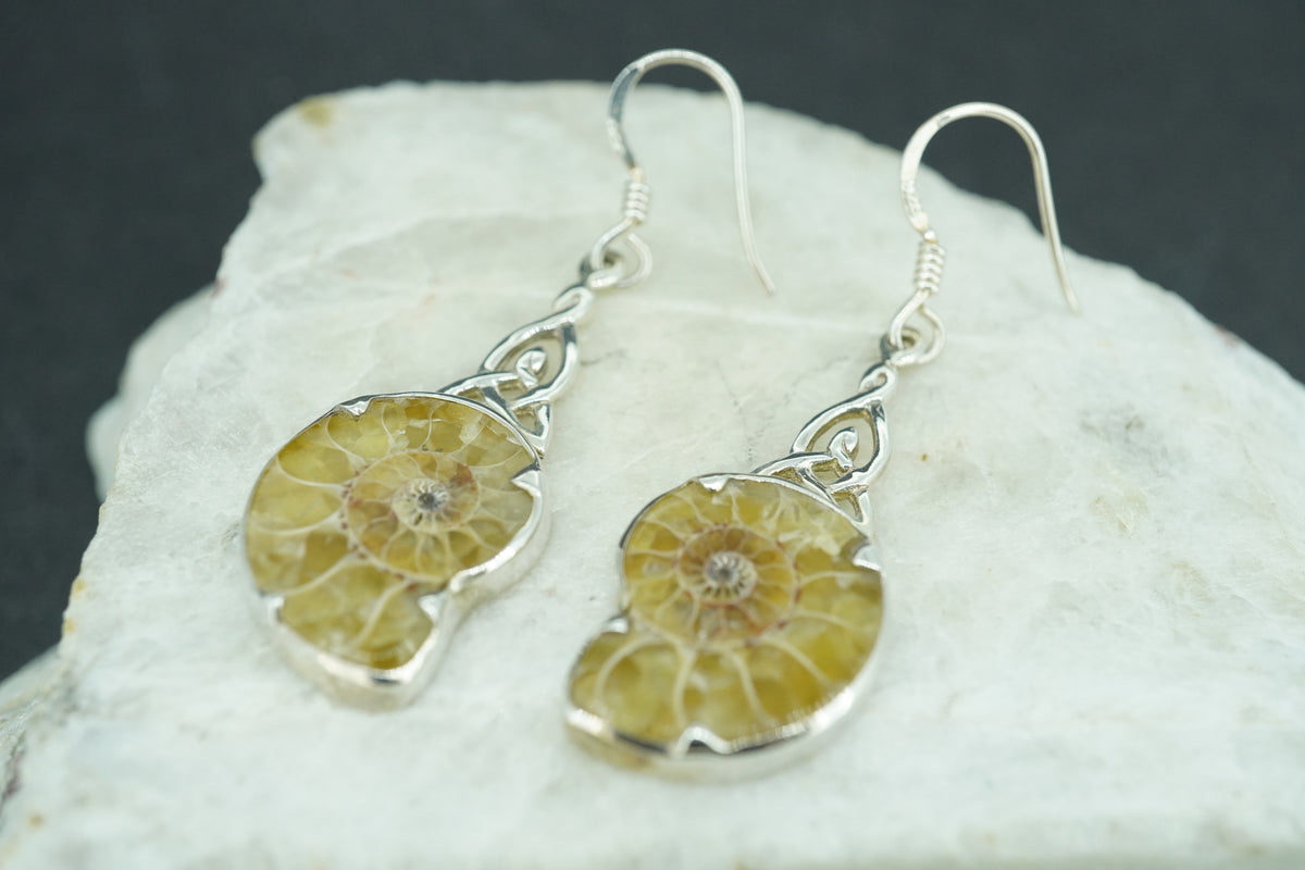 Ammonite Sterling Silver Earrings