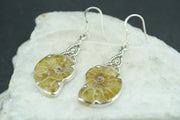 Ammonite Sterling Silver Earrings