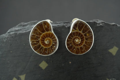 Ammonite Sterling Silver Stud Earrings