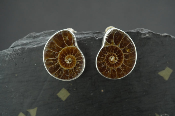 Ammonite Sterling Silver Stud Earrings