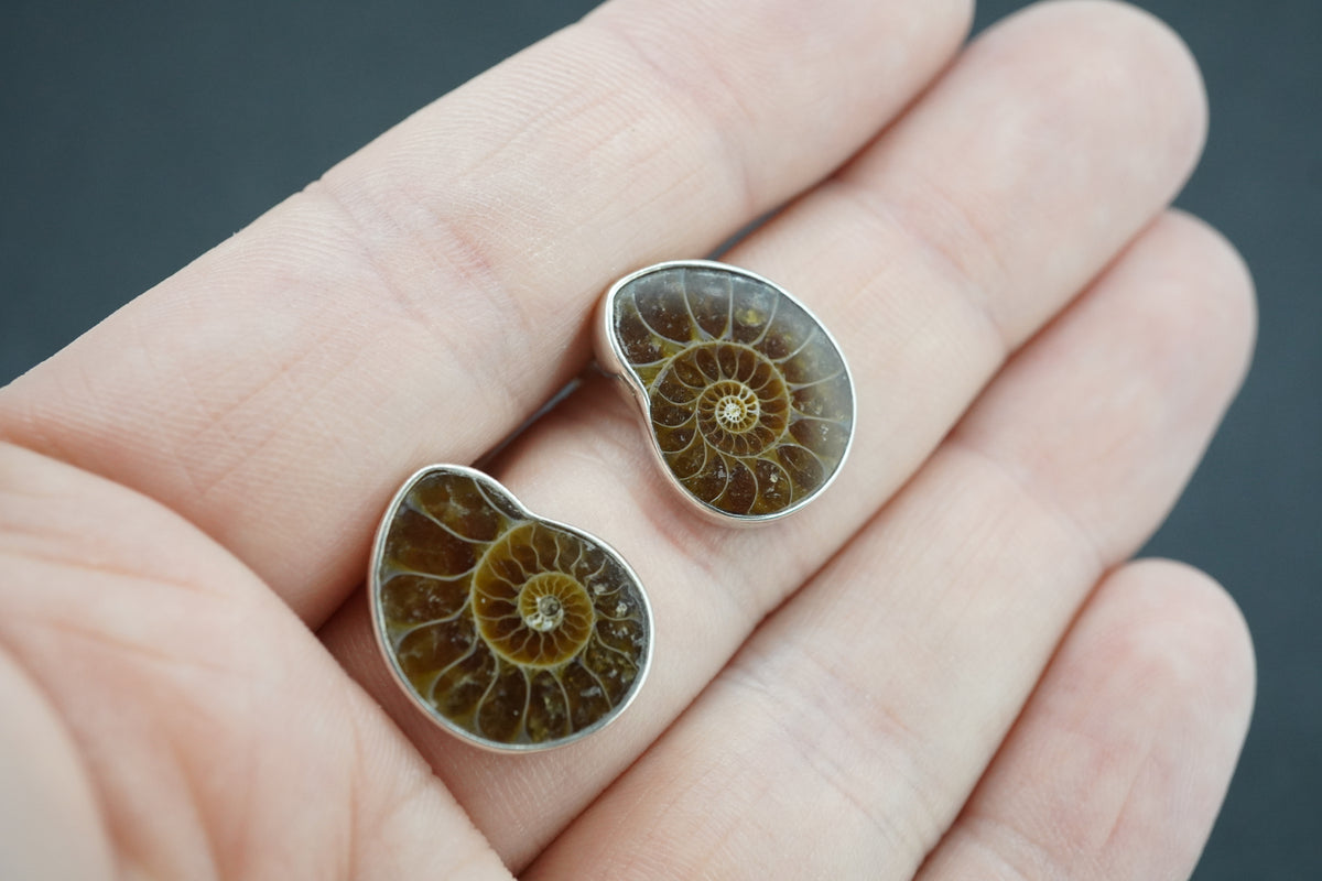 Ammonite Sterling Silver Stud Earrings