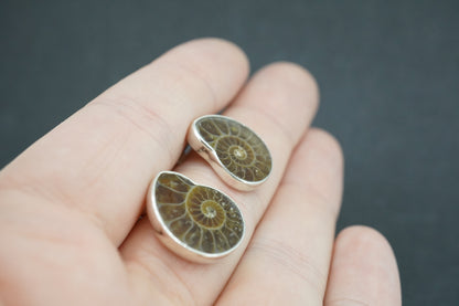 Ammonite Sterling Silver Stud Earrings
