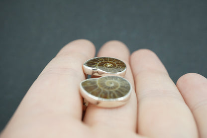 Ammonite Sterling Silver Stud Earrings