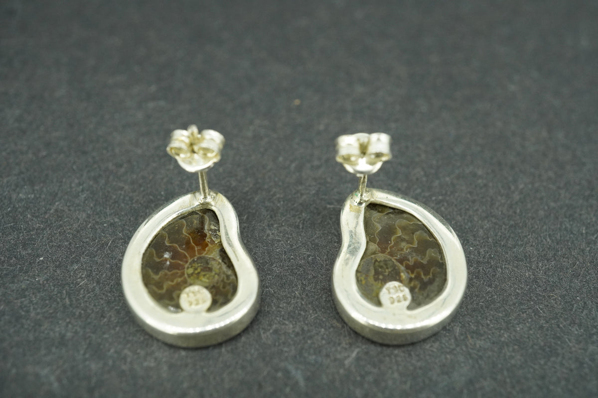 Ammonite Sterling Silver Stud Earrings