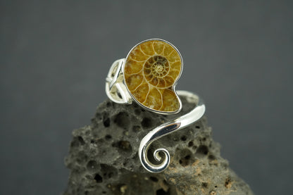 Ammonite Sterling Silver Trinity Ring