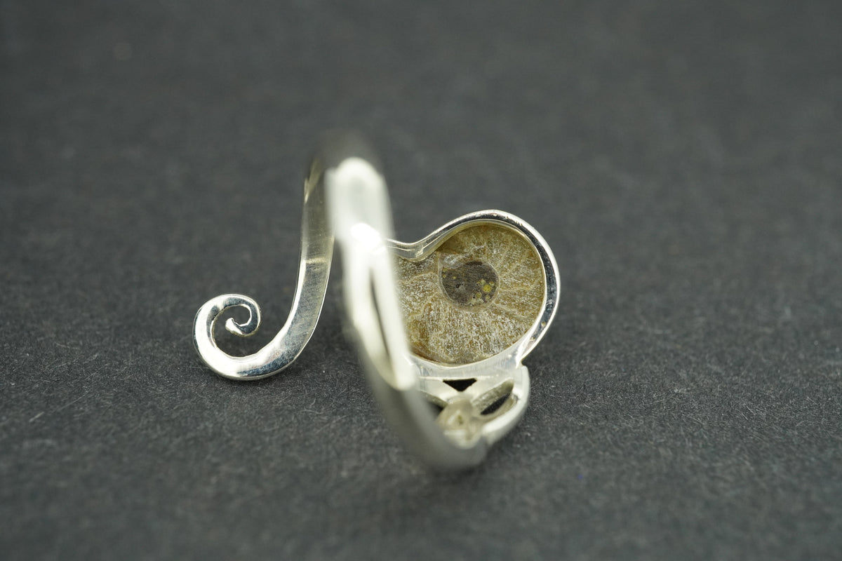 Ammonite Sterling Silver Trinity Ring
