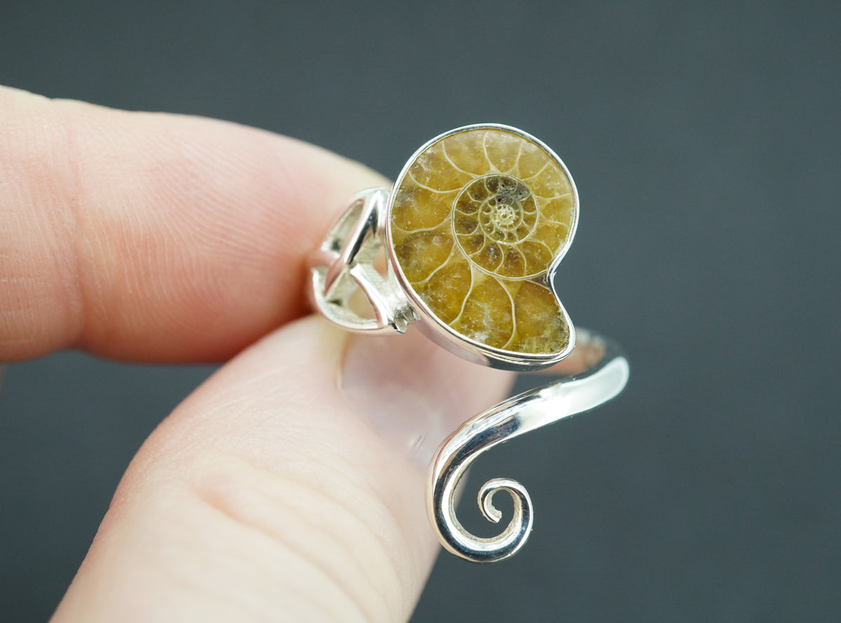 Ammonite Sterling Silver Trinity Ring