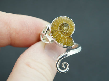 Ammonite Sterling Silver Trinity Ring