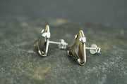 Fossilised Shark Tooth Sterling Silver Earrings