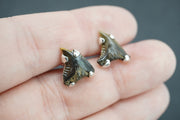Fossilised Shark Tooth Sterling Silver Earrings
