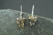 Fossilised Shark Tooth Sterling Silver Earrings
