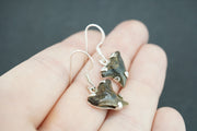 Fossilised Shark Tooth Sterling Silver Earrings