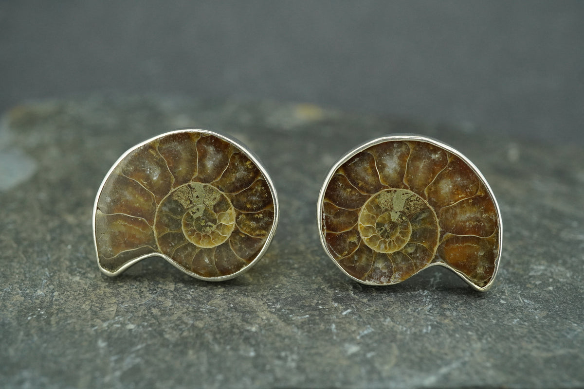 Ammonite Sterling Silver Cufflinks 21x16mm
