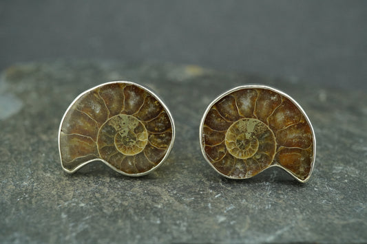 Ammonite Sterling Silver Cufflinks 21x16mm