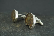 Ammonite Sterling Silver Cufflinks 21x16mm