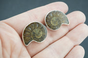 Ammonite Sterling Silver Cufflinks 21x16mm