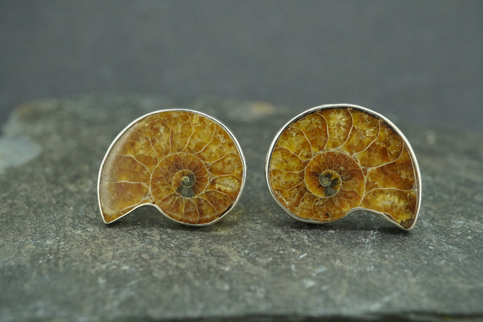 Ammonite Sterling Silver Cufflinks 23x19mm
