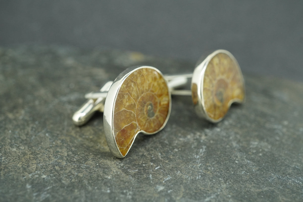 Ammonite Sterling Silver Cufflinks 23x19mm
