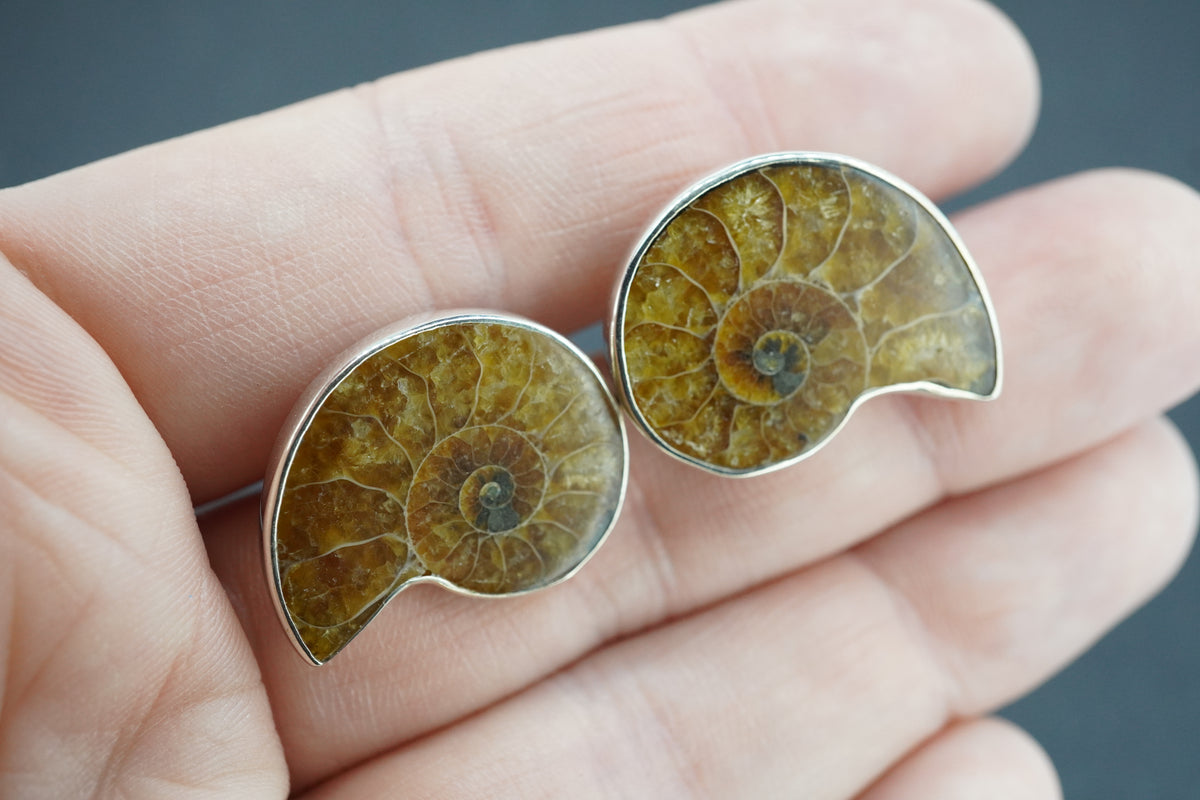 Ammonite Sterling Silver Cufflinks 23x19mm