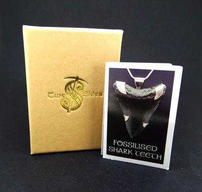 Fossilised Shark Tooth Sterling Silver Cufflinks