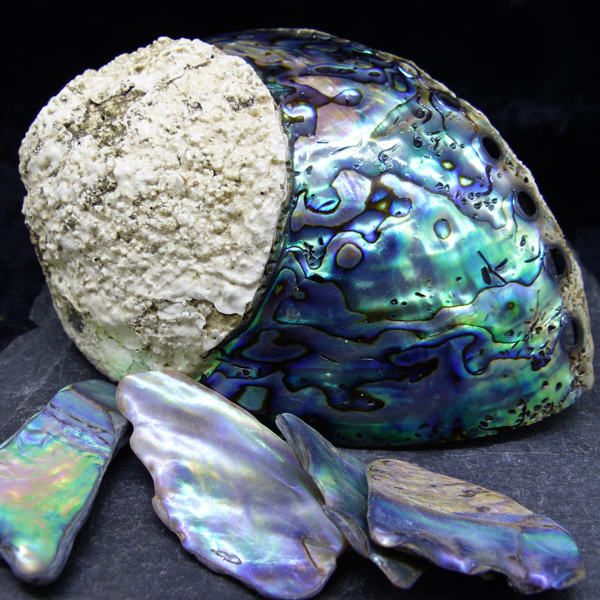 Paua Shell Ring