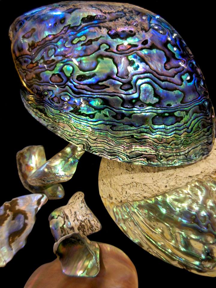 Paua Shell Ring