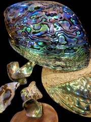 Paua Shell Ring