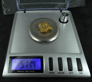 Scottish Gold Nugget - Highlands, 2022 - 5.114g
