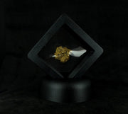 Scottish Gold Nugget - Highlands, 2022 - 5.114g