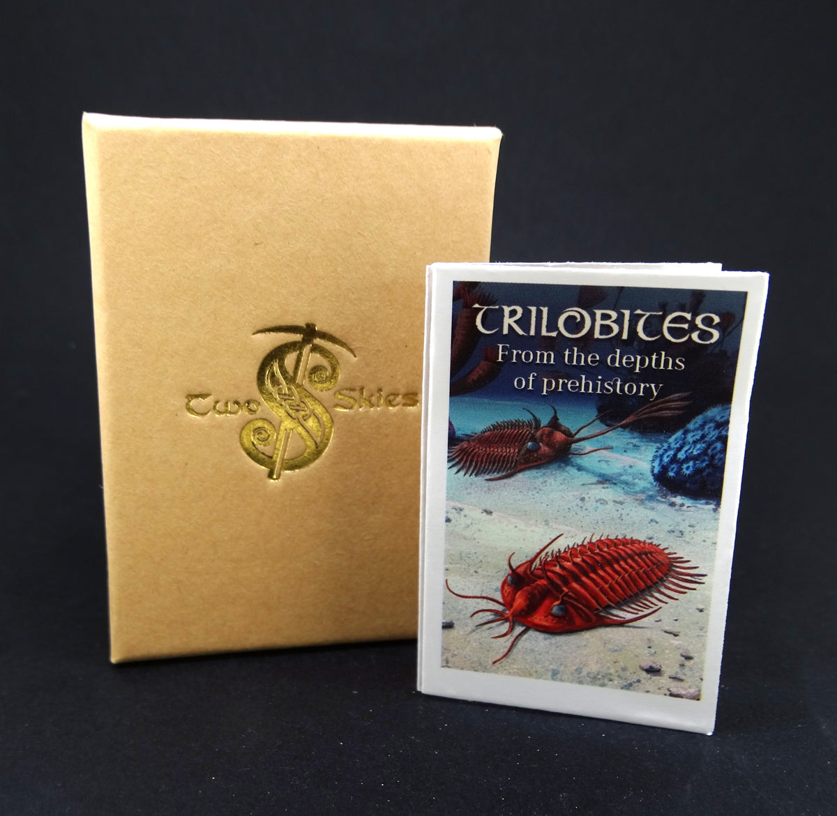 Trilobite Hammered Sterling Silver Adjustable Ring