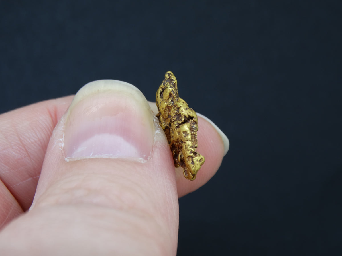 Highlands Scottish Gold Nugget, 2014  -2.033 image 6