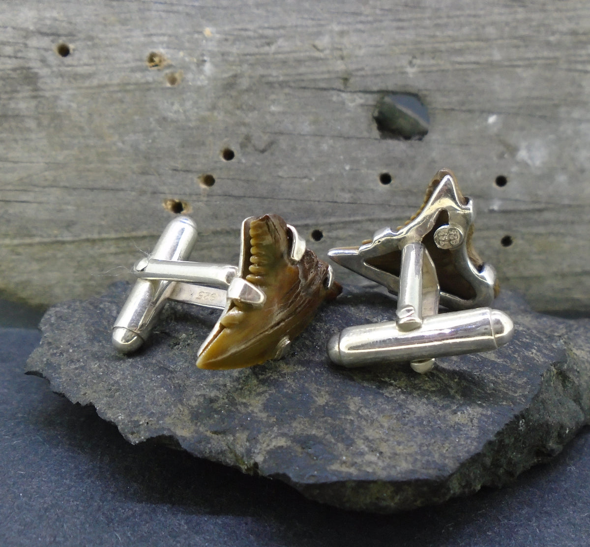 Fossilised Shark Tooth Sterling Silver Cufflinks image 4