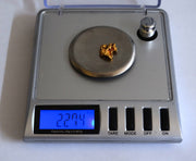 Leadhills Gold Nugget, 2014 - 2.274g image 1