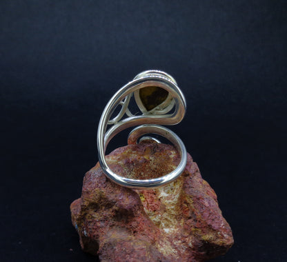 Campsie Fells Jasper Sterling Silver Ring image 6