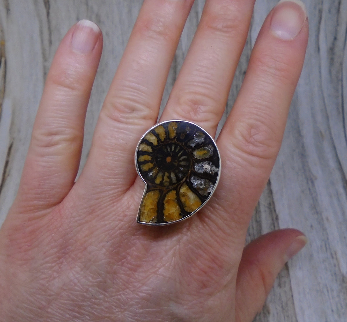 Rare Haematite Ammonite Sterling Silver Ring image 1