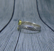 Isle of Lewis Sapphire & Elie Ruby in 18ct Scottish Gold & Sterling Silver Ring image 4