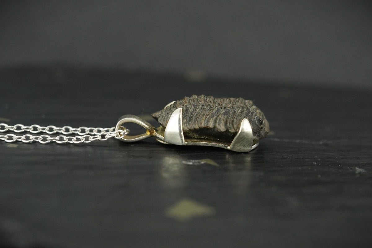 Trilobite Sterling Silver Pendant image 3