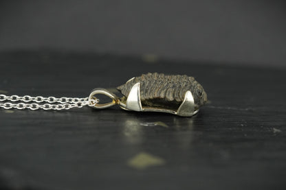 Trilobite Sterling Silver Pendant image 3