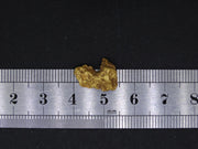Leadhills Gold Nugget, 2022 - 2.151g image 9