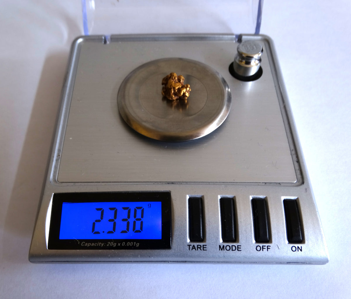 Highlands Scottish Gold Nugget, 2019  -2.338 image 1