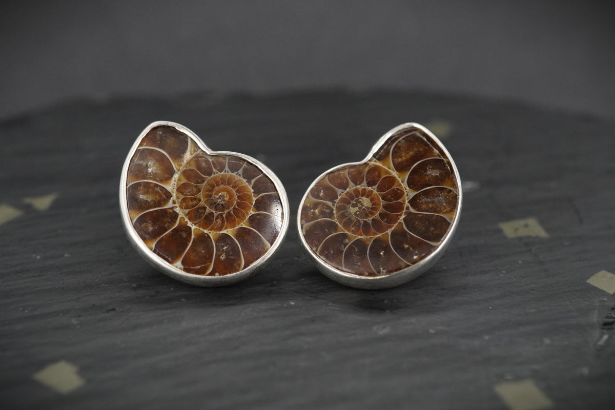 Ammonite Sterling Silver Drop Earrings image 2