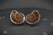 Ammonite Sterling Silver Drop Earrings image 2